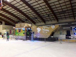 fuesendonIce2017